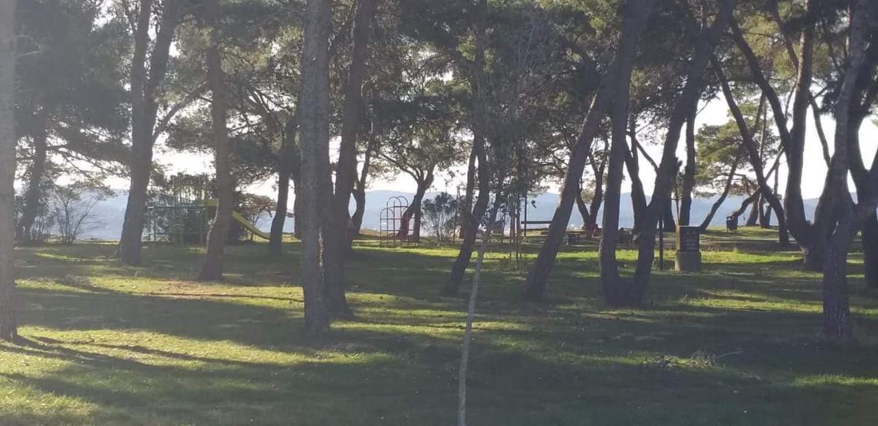 Apartman Petar Appartement Zadar Buitenkant foto