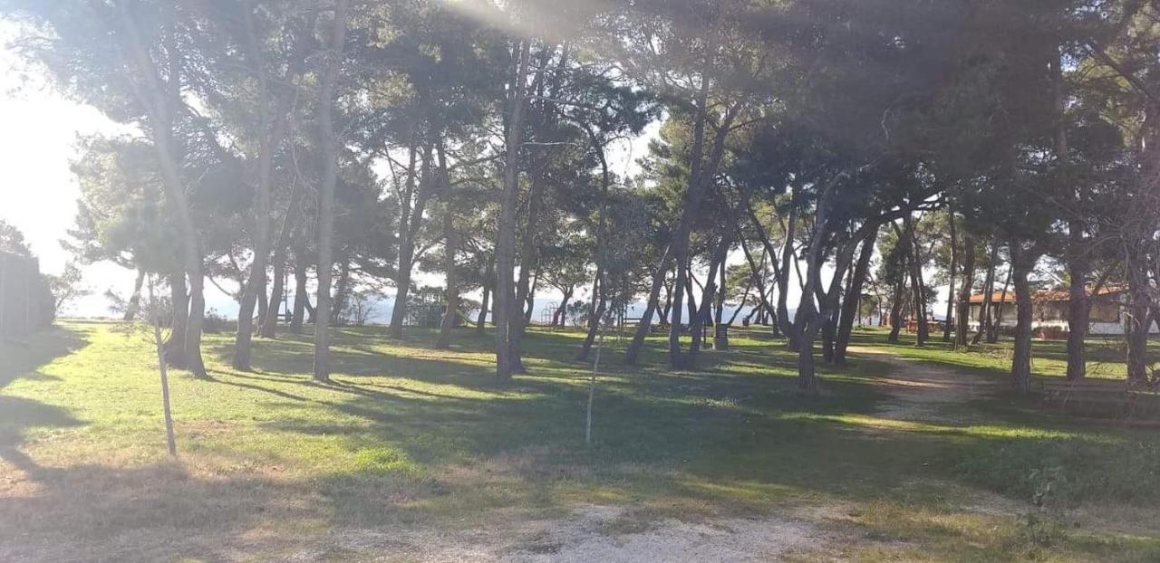 Apartman Petar Appartement Zadar Buitenkant foto